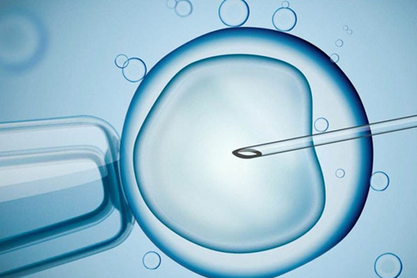 借卵试管婴儿后保存胎儿的最佳方法是什么？