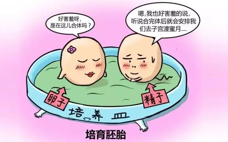 在重庆做供卵试管婴儿的费用是多少？要准备什么