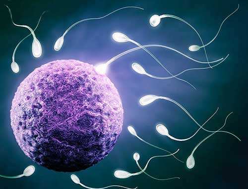 供卵二代自怀试管精卵配对，供卵私立代生试管胚胎什么等级好