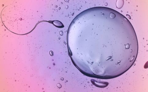 2023供卵做借卵代怀试管是否在医疗保险范围内？