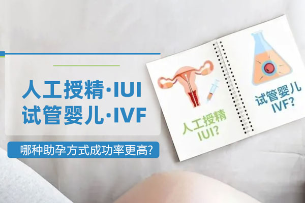 重庆妇幼借卵试管婴儿成功率多少