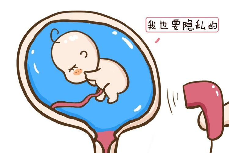 桑椹胚和囊胚的区别详解质量不同但均有试管移植可能性