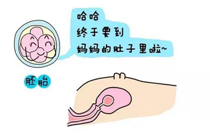 重庆代怀胎儿性别套餐医院有哪些（重庆市单身男士如何试管代怀医院排名和推荐）