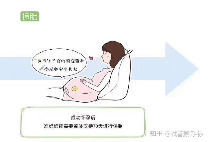 amh低于多少数值不能代生供卵平台婴儿